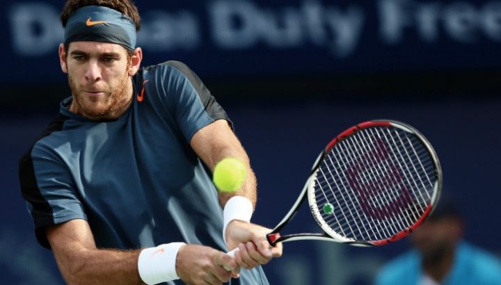 juan-martin-del-potro