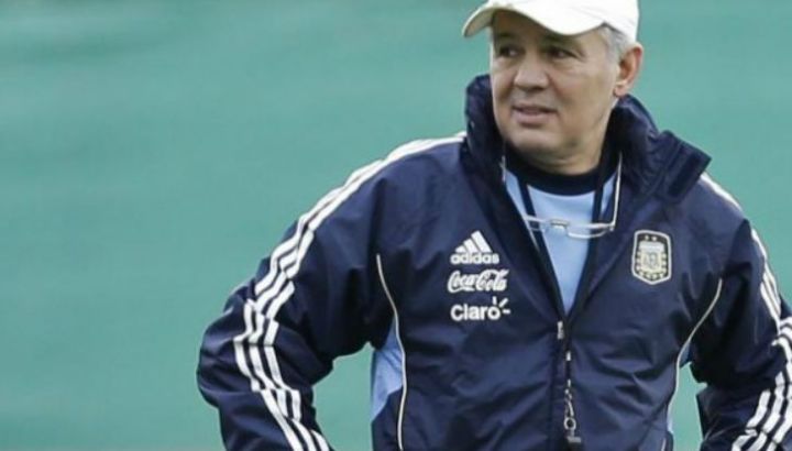sabella