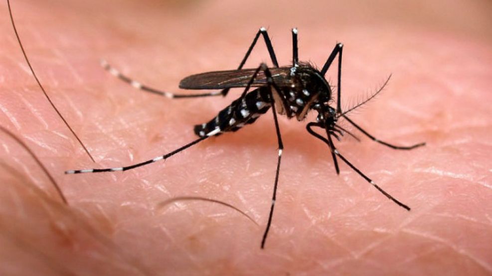 Ya son 10 los casos de dengue confirmados en el país.