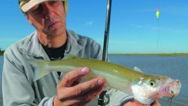 peje en el Salado JF-17