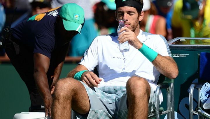 del-potro