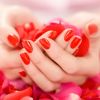 female-hands-with-red-nails-holding-red-and-pink-rose-petals