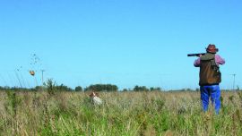 APERTURA perdices mayo-003