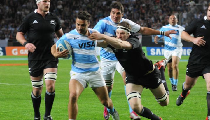 los-pumas