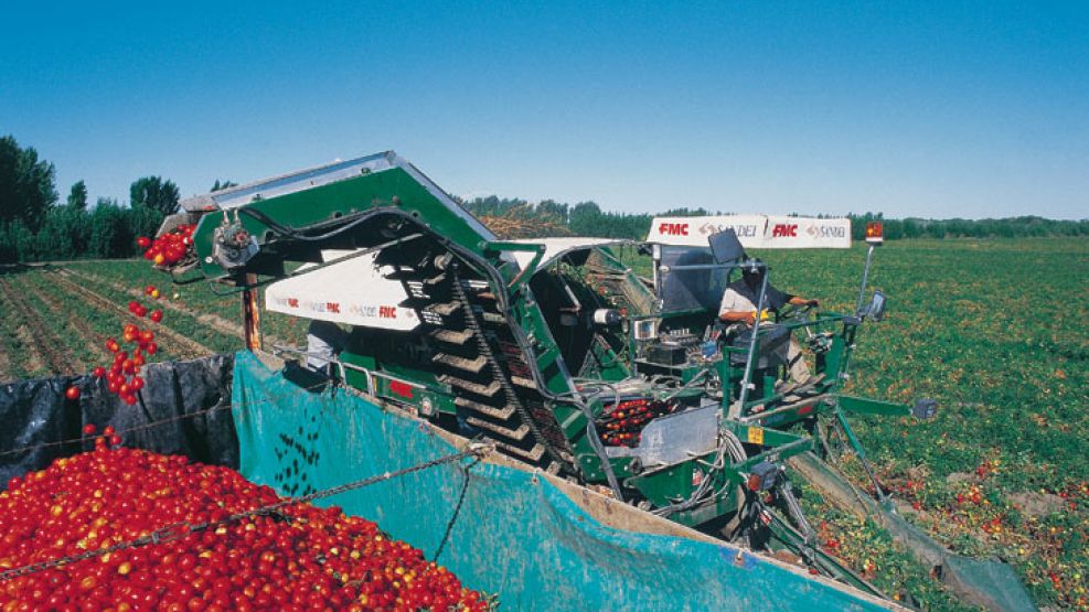 Cadena. Las manzanas de Río Negro, uno de los primeros productos en perder competitividad.