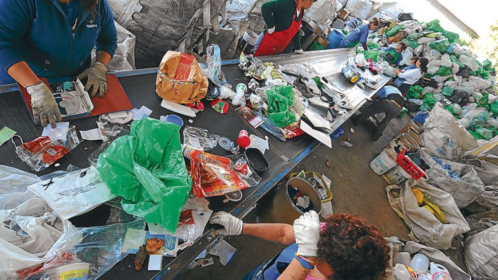 En acción. Cuarenta personas en 2012 recuperaron 660 toneladas de basura seca, una cuarta parte de lo que procesa la Ceamse.