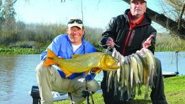 Guazú embarcados JF-66