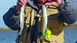 PESCA DE PEJERREYES (136)