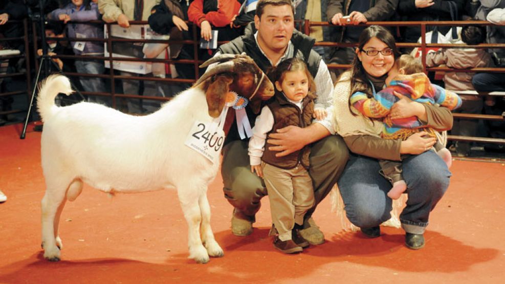 Secretos del campo. En Palermo los privilegiados serán los niños: tienen prohibido no tocar.