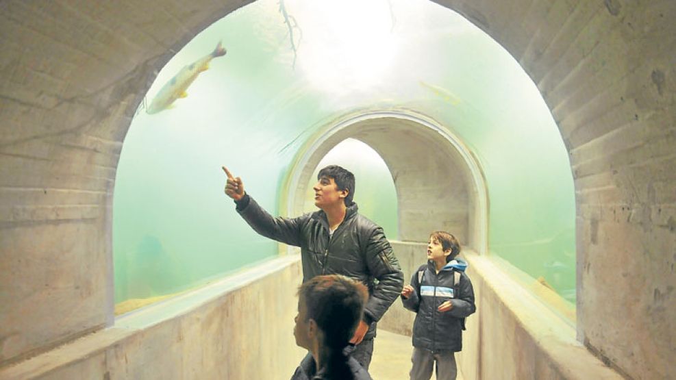 Reapertura. Los visitantes disfrutaron ayer, durante el primer día de la feria, del Acuario Argentino, el triciclo con ruedas cuadradas y los juegos de ingenio diseñados por Adrián Paenza. 