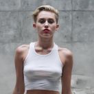 Miley Cyrus desnuda (6)