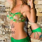 Rocio Guirao Diaz bikini (15)