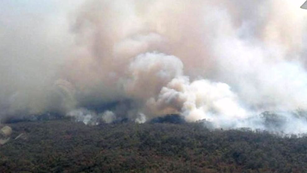 El fuego arrasó más de 10.000 hectáreas. 