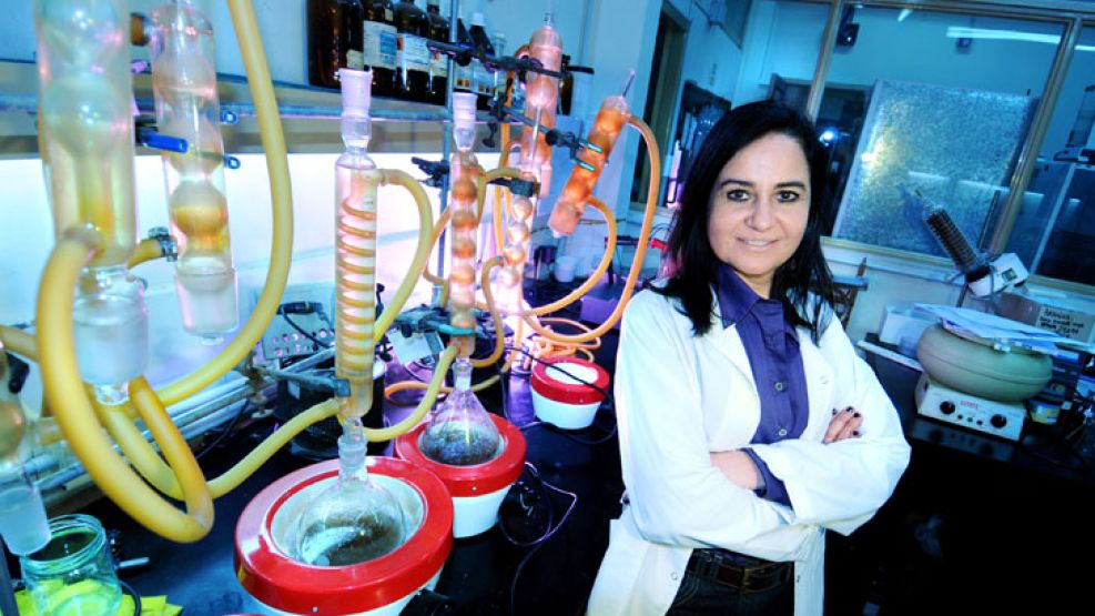 Pionera. Claudia Anesini estudia hace 15 años las propiedades medicinales de plantas autóctonas.