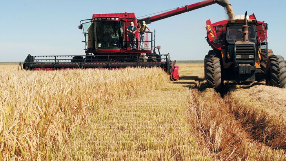 Mejoras. La productividad del campo está ligada a la ciencia y la tecnología que insumen.