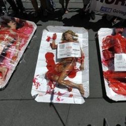 polemica-protesta-por-derechos-de-los-animales-en-barcelona 
