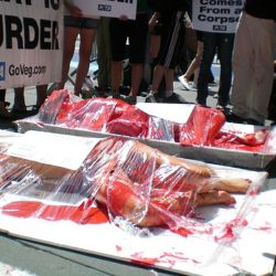 polemica-protesta-por-derechos-de-los-animales-en-barcelona 