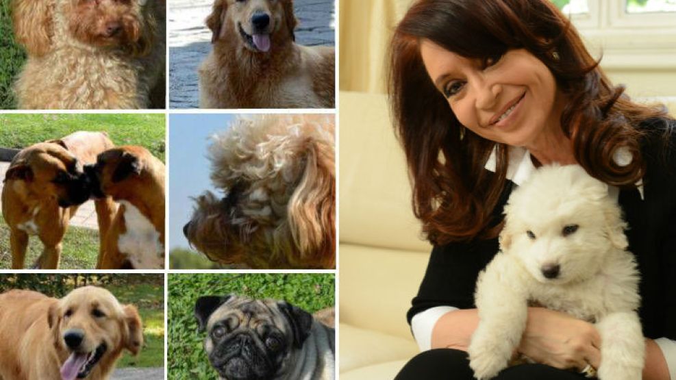 La jefa de Estado con sus mascotas. Hoy presentó a Simón, el sexto perro que Cristina da a conocer en el año.