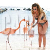 En Flamingo Beach, Peña le dio de comer de su propia mano a los flamencos.