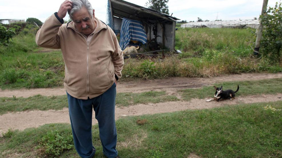 En la chacra. José Mujica cuestionó a Raymond Yans, presidente de la JIFE, que había lamentado la decisión de Uruguay.