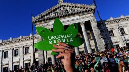Festejos. Uruguay es el primer país del mundo en legalizar la producción y la venta de marihuana.