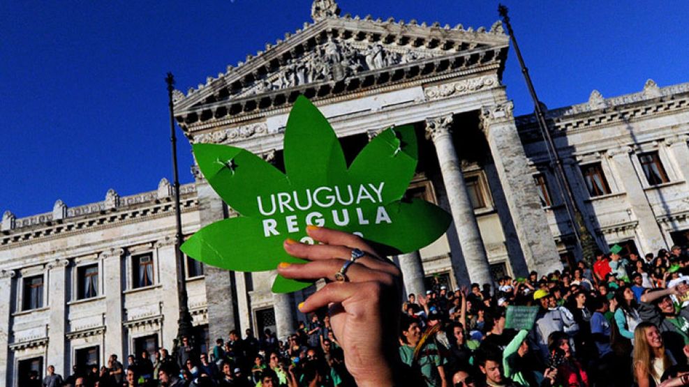 Festejos. Uruguay es el primer país del mundo en legalizar la producción y la venta de marihuana.