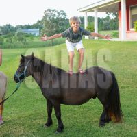 brito