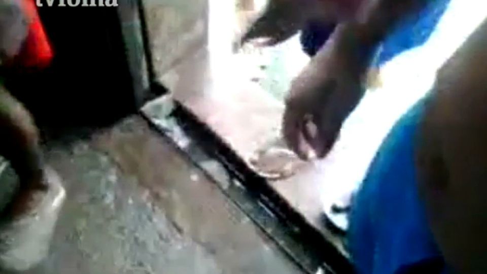 Brutales las imágenes provenientes desde la penitenciaria de Brasil.