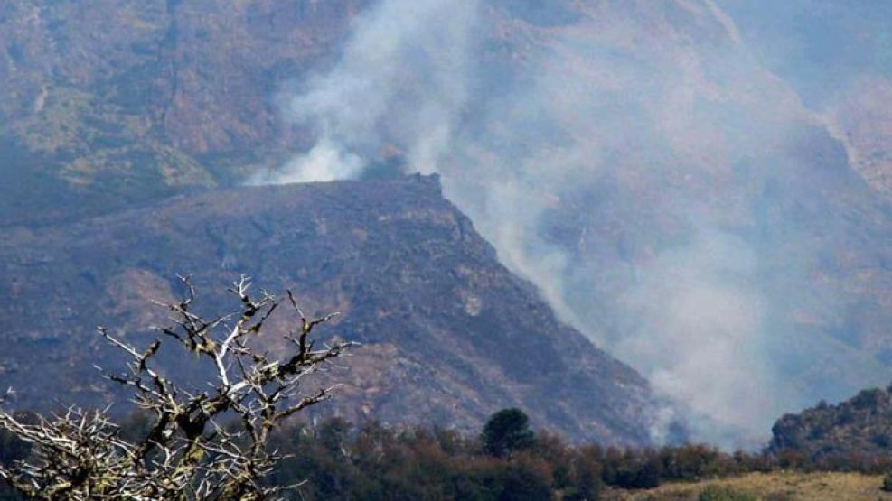 En Alimuné, Neuquén, el fuego afectó a 4.500 de las 520.000 hectáreas.