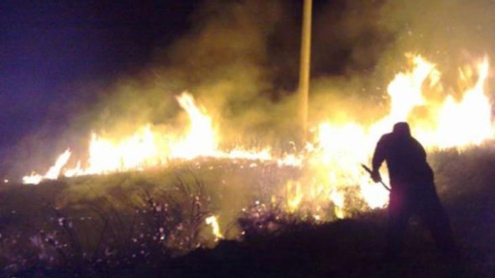 En el departamento de General Alvear el fuego arrasó con 180 mil hectáreas.