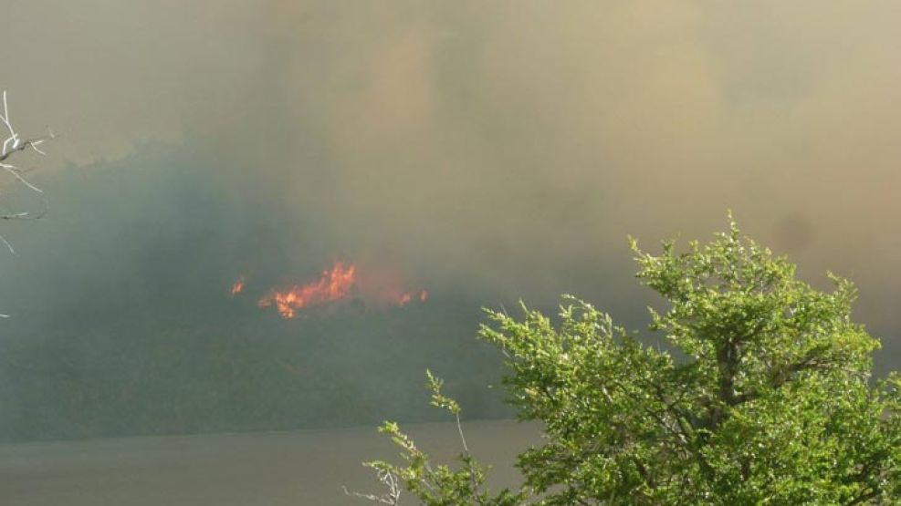 La localidad neuquina de Aluminé fue una de las más afectadas. En total, los incendios devoraron 34.000 hectáreas de bosques nativos.