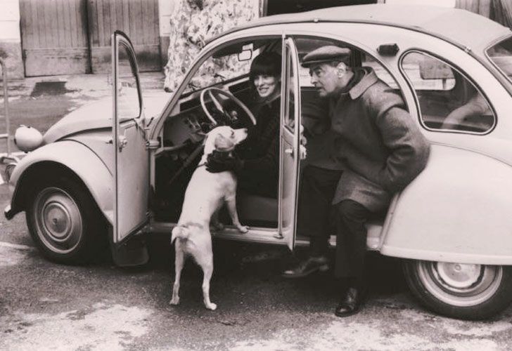 Como Hablar Con Tu Perro Acerca De Comunismo