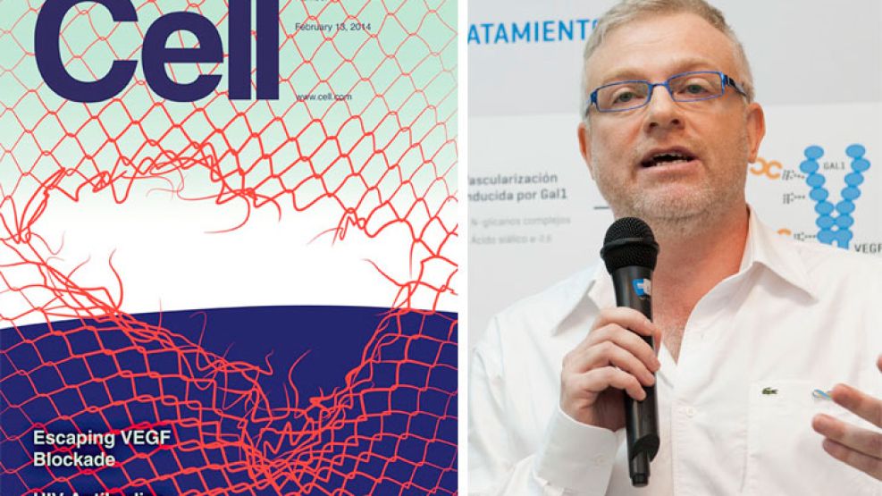 De portada. La revista Cell dedicó su tapa al trabajo de Gabriel Rabinovich y su equipo acerca de los mecanismos de escape de los tumores.