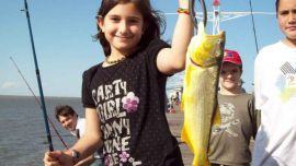 90c8a860751b252e58c26f97e05856c4_L