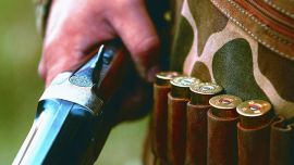 PERDIZ PATO Y FAISAN-021