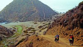 WK PASO GORDITO (27)