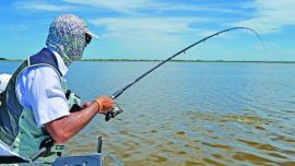 peleando con una lisa