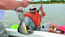 pesca de la boga PESCA (2)