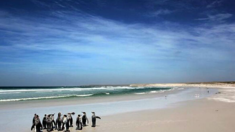 "Argentina recientemente interceptó esta foto de nuestros 'misiles nucleares'. Resultaron ser pingüinos", se burlaron en Twitter. 