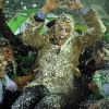 0531-banfield-campeon-04