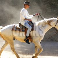 bieber