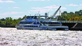 Martín García_Francisco Savino