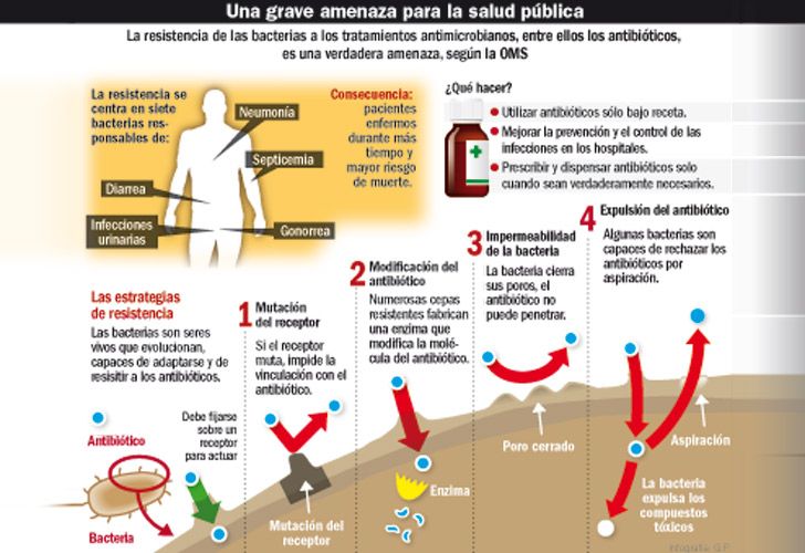 "En todas las bacterias que tenemos bajo vigilancia alrededor del mundo –cerca de treinta patógenos– la resistencia se está incrementando", alertó Pardo.
