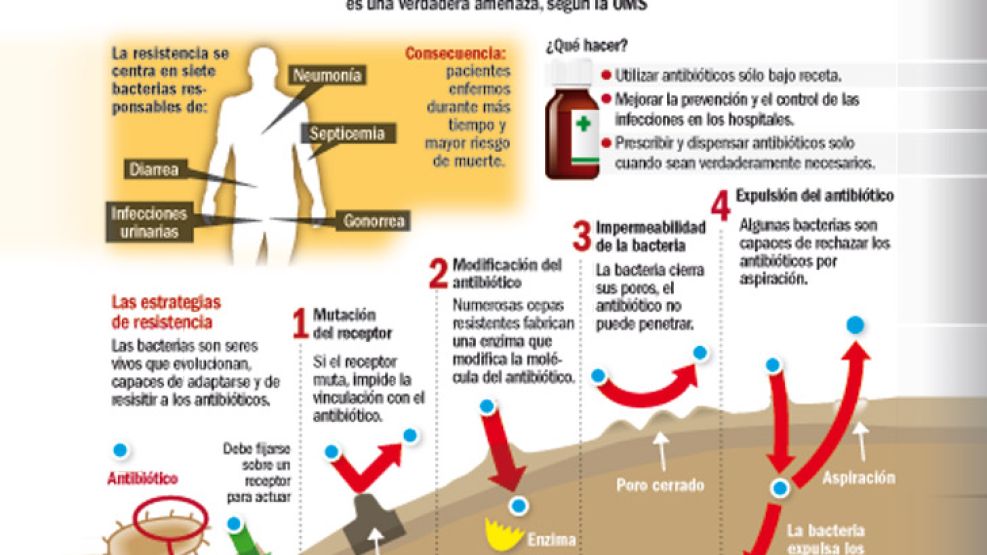 "En todas las bacterias que tenemos bajo vigilancia alrededor del mundo –cerca de treinta patógenos– la resistencia se está incrementando", alertó Pardo.