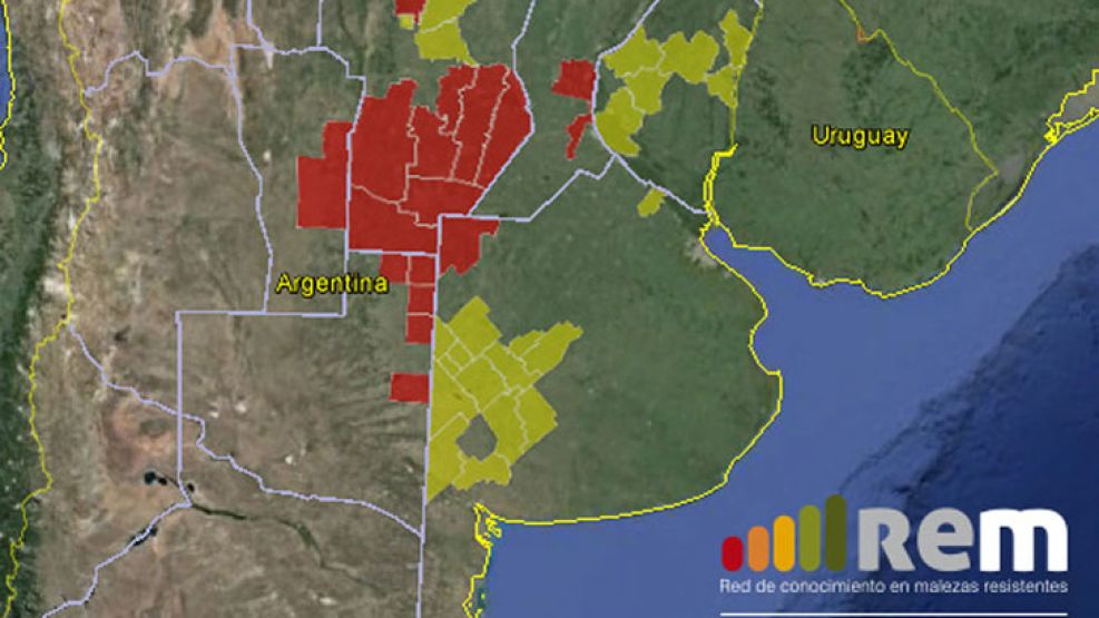 Rojo y amarillo. El primero muestra dónde están las que toleran los agroquímicos. El segundo marca los lugares sospechosos.