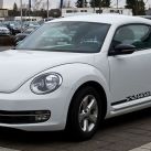 beetle-sport-2
