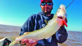 2014-04-23-19-57-0s2_deco