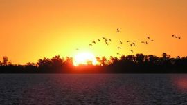 Laguna de Chascomús