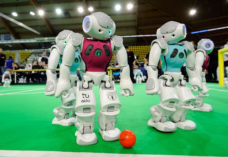 El torneo estará dividido en cuatro grandes categorías: RoboCup Soccer, RoboCup Rescue, RoboCup Junior y RoboCup Home. 