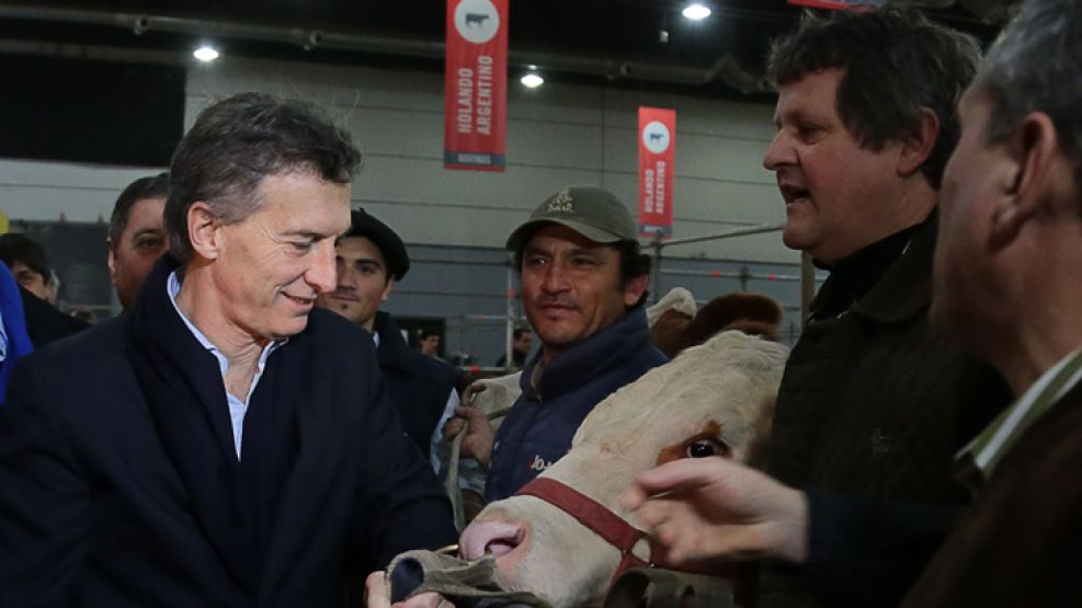 La vaca atada. Mientras el debate crecía, Macri fue a la Rural.